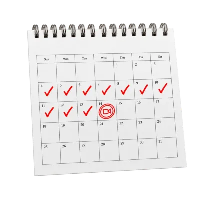 A two-week calendar with days checked off